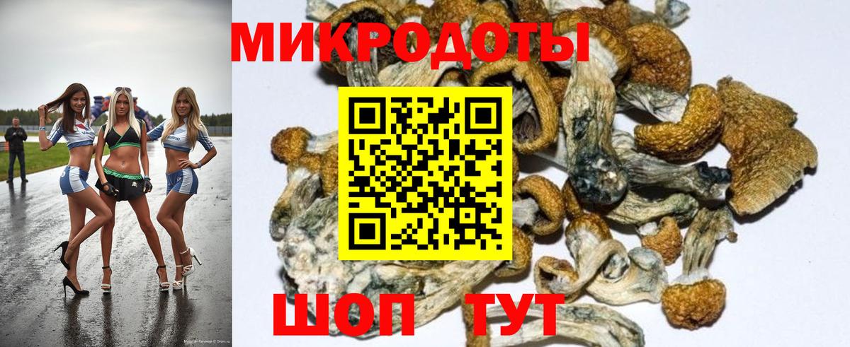 Псилоцибиновые грибы Psilocybine cubensis  Вход с VPN  Шадринск 