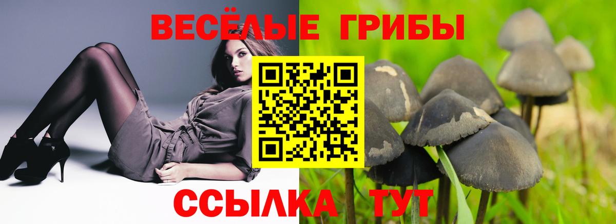 Псилоцибиновые грибы мицелий Шадринск