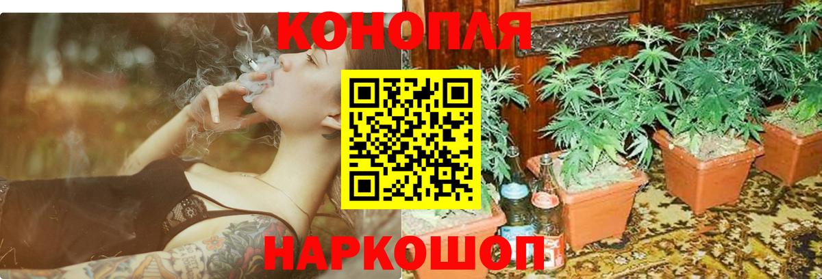 Бошки марихуана OG Kush Шадринск